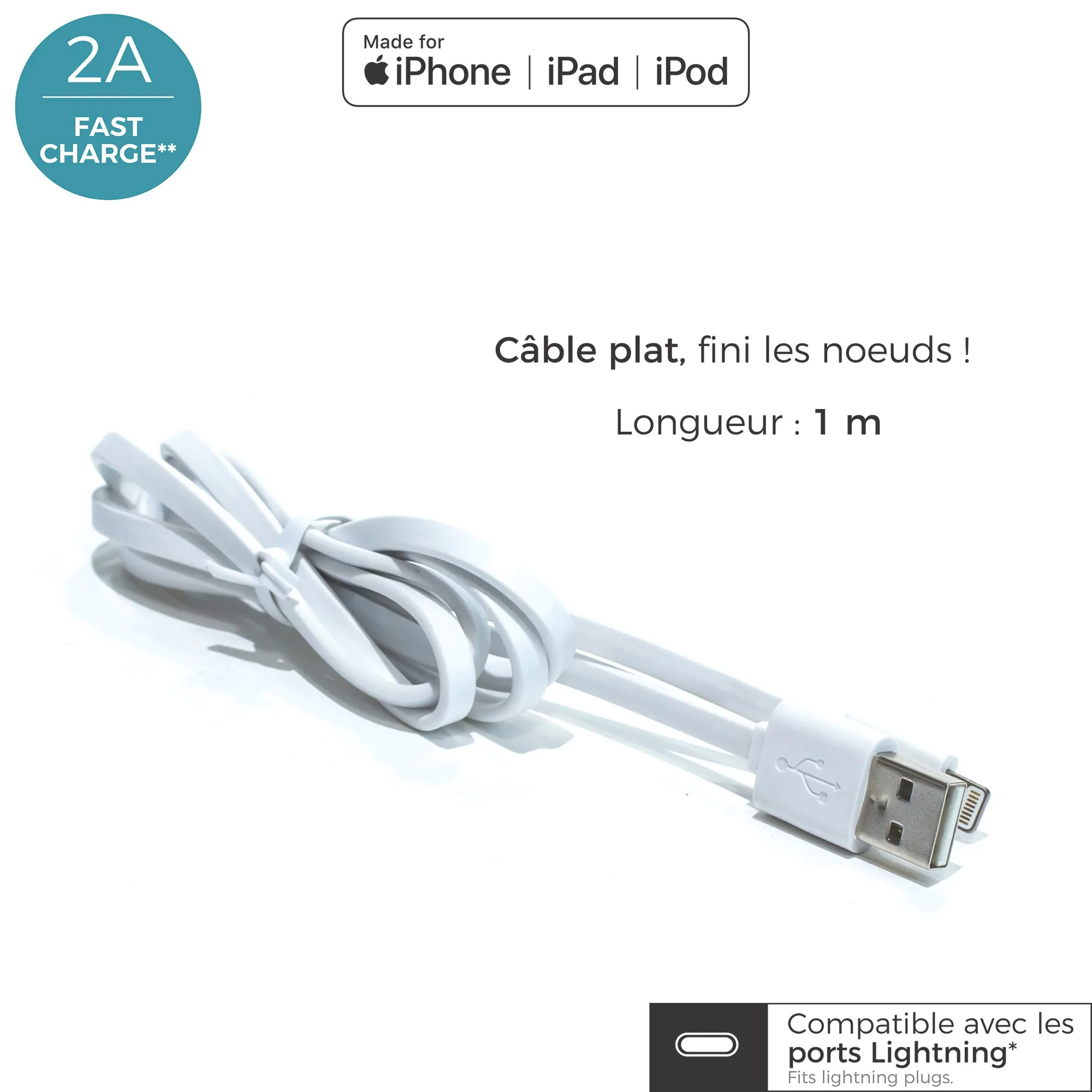 CABLE AGREE IPHONE 5 6 BLANC