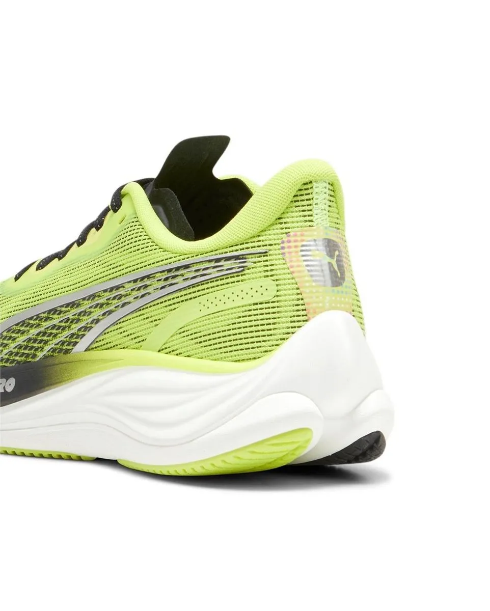 Chaussures de running Homme VELOCITY NITRO 3 Vert