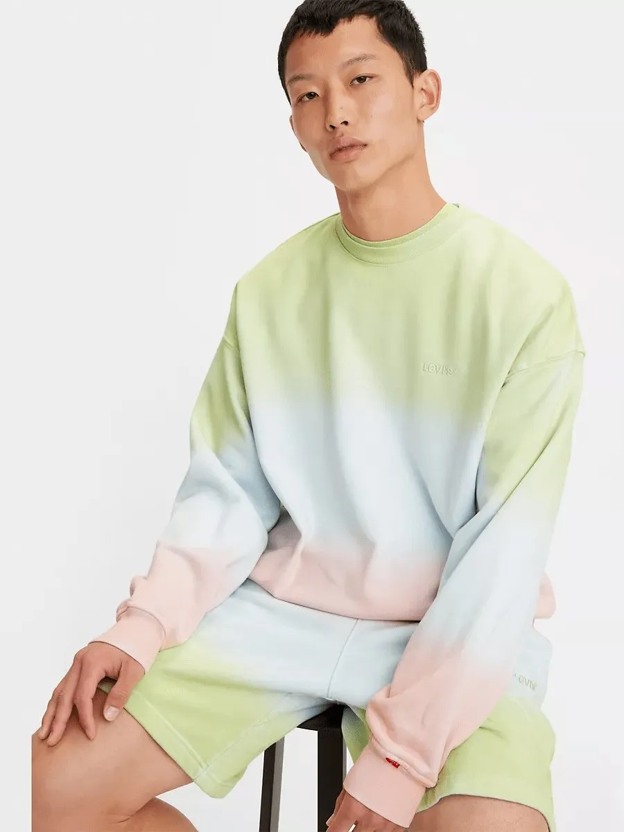 Levi's Red Tab Sweats Crewneck Sweatshirt - Skywash Fade Seedling - Pull Levi's Dégradé Vert et  Rose