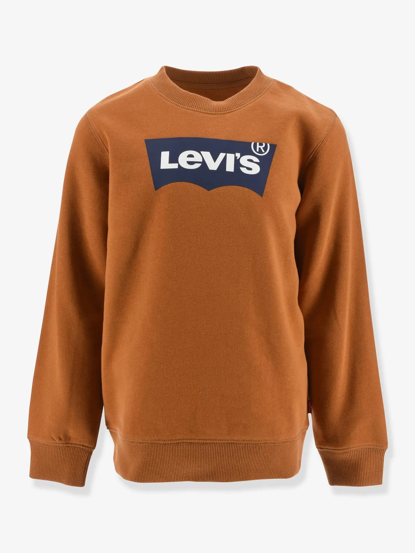 Sweat garçon Batwing Crewneck de Levi's® gris - Levi's