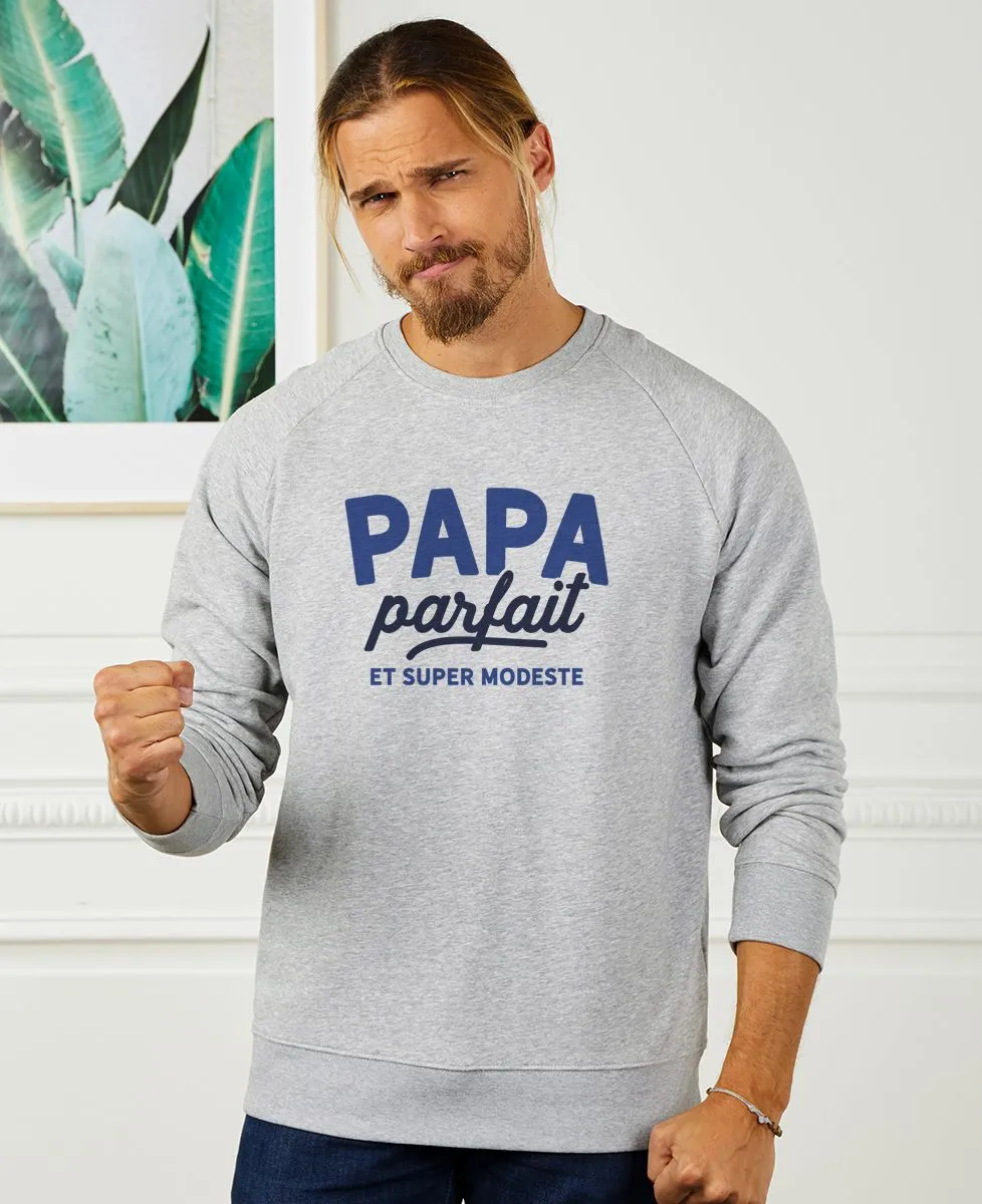 Sweatshirt homme Papa parfait (et super modeste)